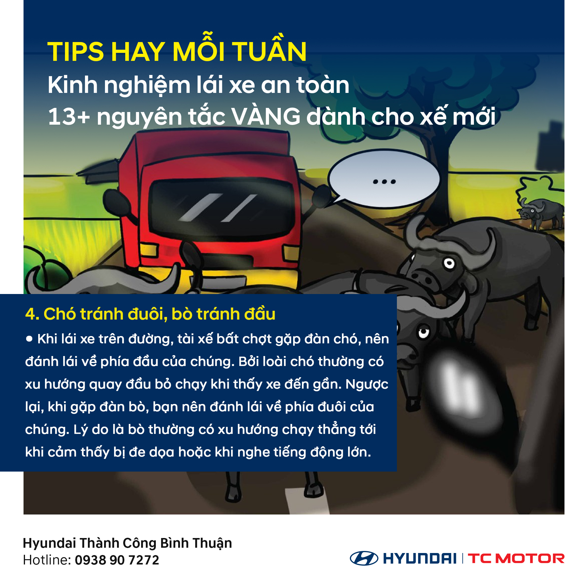 nguyên tắc vàng lái xe