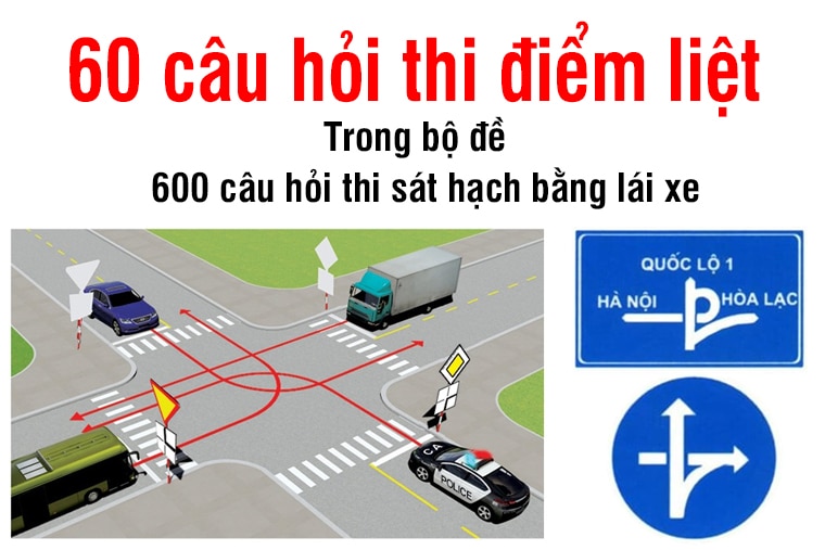 Câu hỏi điểm liệt