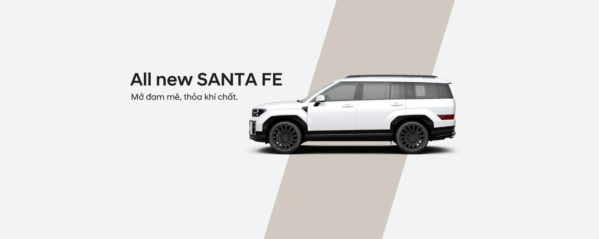 slide website moi san pham 1