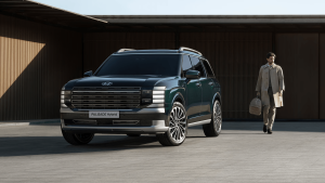 Hyundai PALISADE Hybrid 1 gallery 01 walking alongside pc 1